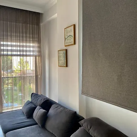 Apartament Carsi House