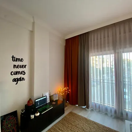 Apartament Carsi House
